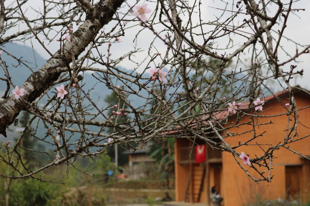 Huy Man Homestay Хазянг Экстерьер фото